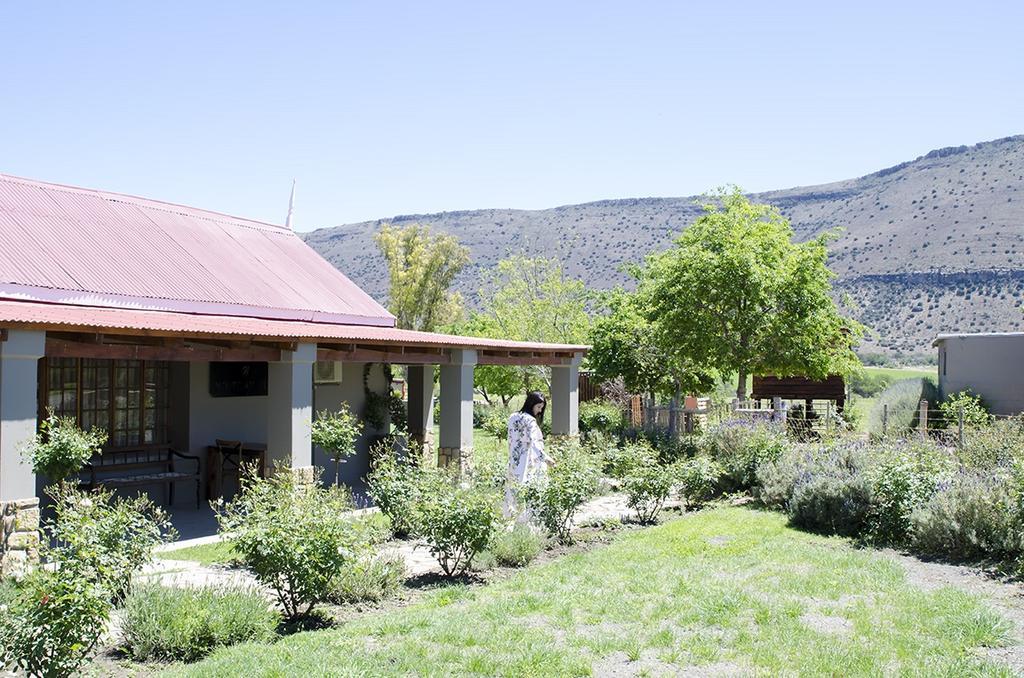 קרדוק Mountain View Country Guest House מראה חיצוני תמונה